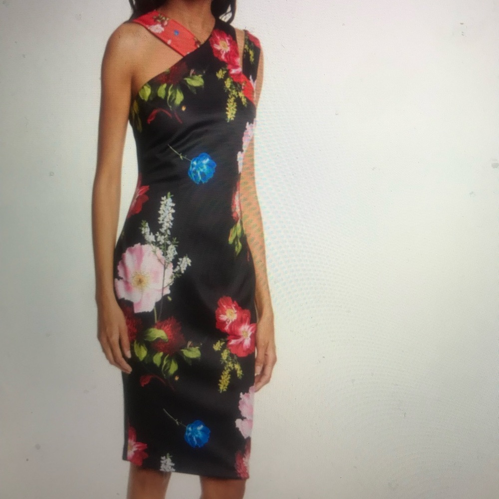 Ted Baker Floral Dress size 3